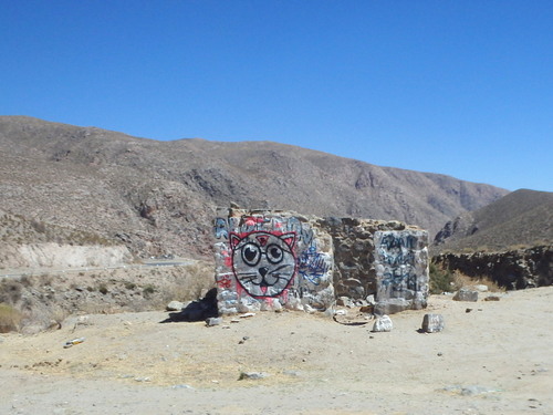 Graffiti on an abandoned structure.